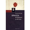 Spinoza door Jonathan Israel