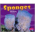 Sponges