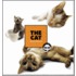 The Cat
