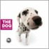 The Dog