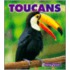 Toucans