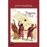 Trigons door John Matthias