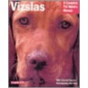Vizslas by Chris Pinney