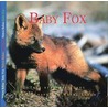 Baby Fox door Wayne Lynch