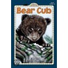 Bear Cub door Pam Pollack