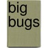 Big Bugs