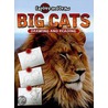 Big Cats by Monica Halpern