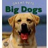 Big Dogs