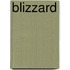 Blizzard