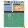 Cat Care door Christopher Pinney