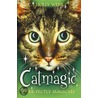 Catmagic door Holly Webb