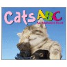 Cats Abc door Amanda Doering Tourville