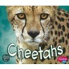 Cheetahs door Deborah Nuzzolo