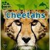 Cheetahs door Sarah Albee