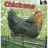 Chickens