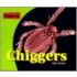 Chiggers