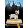 City Dog door Alison Pace