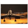 Concorde door Stephen Skinner