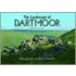 Dartmoor