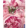 Die Rose by David Austin