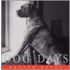 Dog Days