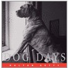 Dog Days door Hulton Getty Picture Library