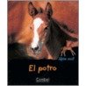 El Potro door Colette Barbi-Julien