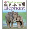 Elephant door Ian Redmond