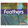 Feathers by Cassie Mayer