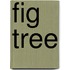 Fig Tree