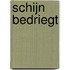 Schijn bedriegt