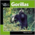 Gorillas