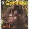 Gorillas by Patricia Kendell