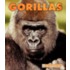 Gorillas