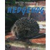 Hedgehog