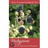 Hedgerow