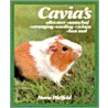 Cavia's door H. Bielfeld