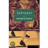 Labrador door Kathryn Davis