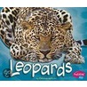 Leopards door Deborah Nuzzolo