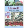 Llanelli by John Edwardsq