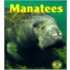 Manatees