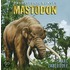 Mastodon