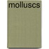 Molluscs