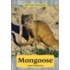 Mongoose