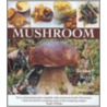 Mushroom door Nick Sandler