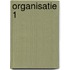 Organisatie 1