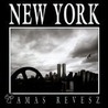 New York door Thomas Revesz