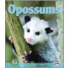 Opossums door Sally M. Walker