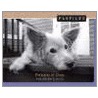 Pawfiles by Kim Levin