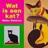 Wat is een kat?